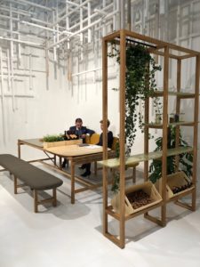 https://arauco-qas.arauco.com/argentina/wp-content/uploads/sites/15/2018/07/noticia22222-225x300.jpeg