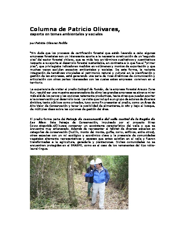 Columna de Patricio Olivares