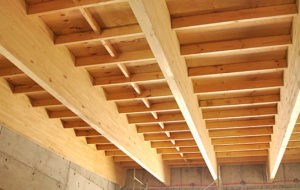 https://arauco-qas.arauco.com/chile/wp-content/uploads/sites/14/1970/01/02-41415-Hotel-Melia-Patagonia-300x190.jpg