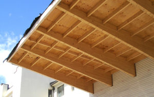 https://arauco-qas.arauco.com/chile/wp-content/uploads/sites/14/1970/01/03-83583-Hotel-Melia-Patagonia-300x190.jpg