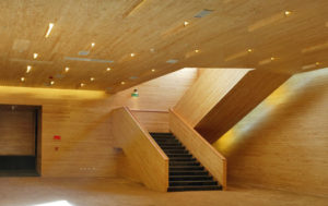 https://arauco-qas.arauco.com/chile/wp-content/uploads/sites/14/1970/01/07-51809-Hotel-Melia-Patagonia-300x189.jpg