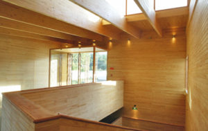 https://arauco-qas.arauco.com/chile/wp-content/uploads/sites/14/1970/01/09-97880-Hotel-Melia-Patagonia-300x189.jpg
