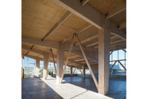 https://arauco-qas.arauco.com/chile/wp-content/uploads/sites/14/1970/01/102_03_16145_web_asol_liceo_mariano_latorre_arauco_chile_06_-300x200.jpg