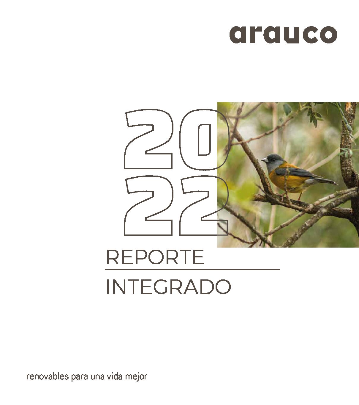 Reporte Integrado 2022