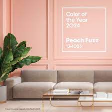 Descubre la Dulzura de este 2024 con la propuesta de Pantone: Peach Fuzz