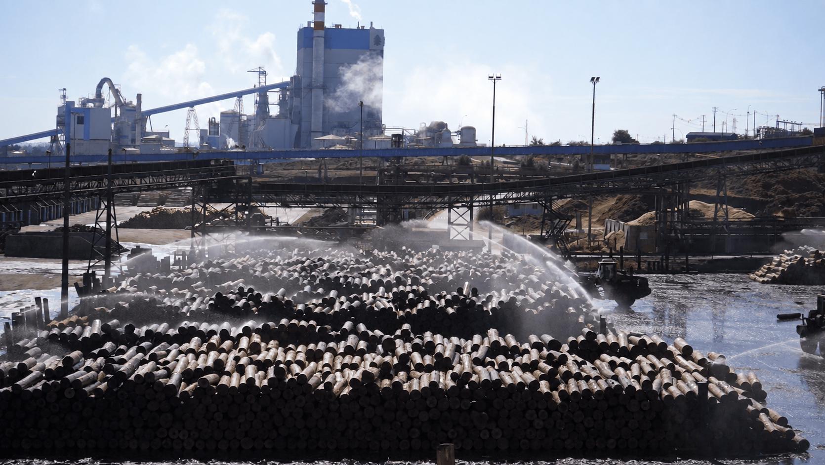 AraucoPly Production Process