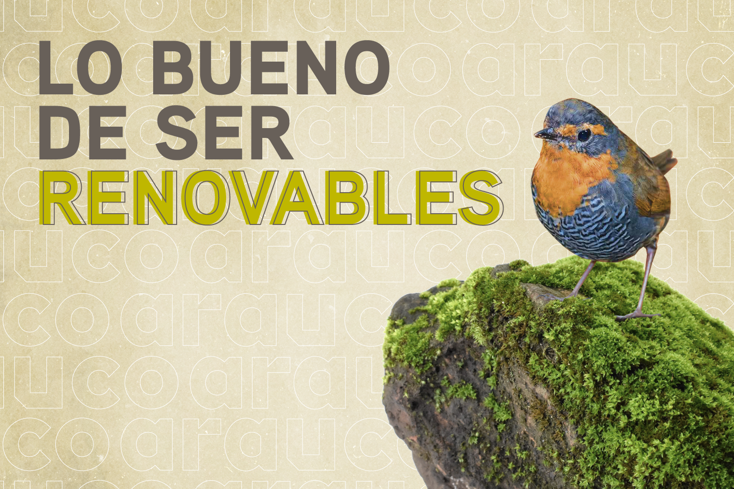 [:es]Conoce lo bueno de ser renovables[:en]The good thing about being renewable![:pb]Conheça a vantagem de ser renovável[:]